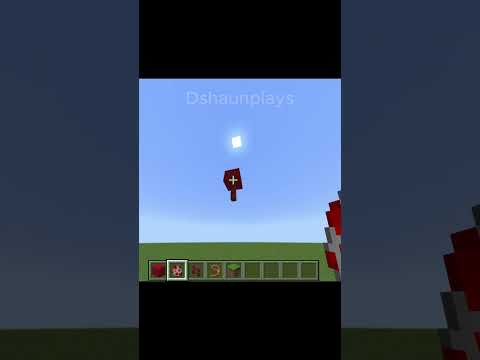 Become a Minecraft Pro with Balloon Building!