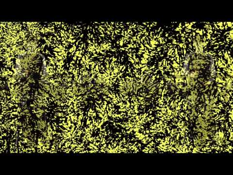 Virus Syndicate feat Buku - Worker Bees vs. Lil Panda