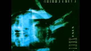 Skinny Puppy - Blood