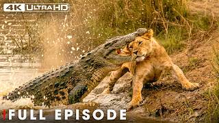 World's Deadliest: Predators Hunting Baby Animals | Nature Animal Documentary