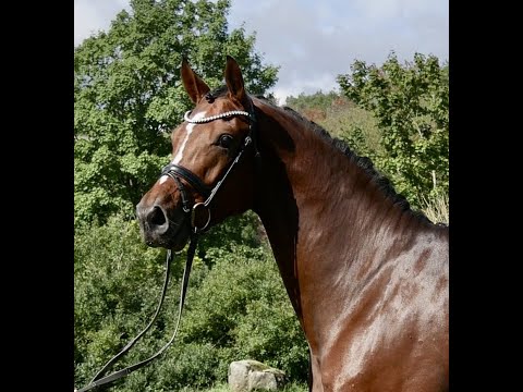 Floriscount Wallach Sold