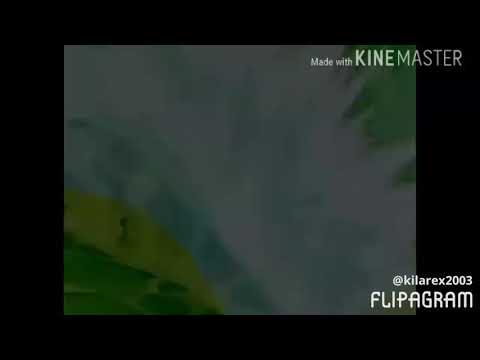 DBZ/DBS AMV ~ "u and I "