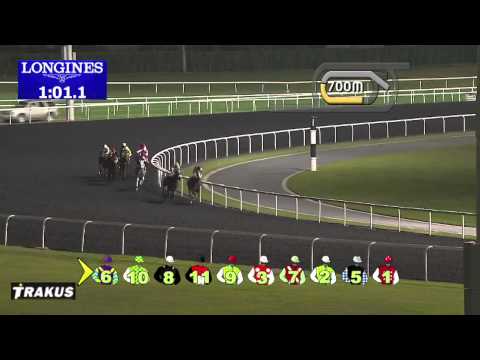 09.01.2014 Meydan (Dubai-UAE) 1.Race Al Maktoum Challenge R1 2014 - Group I 1.600 m