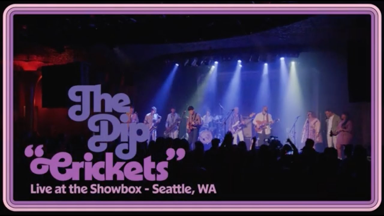 The Dip - Crickets (Live at The Showbox)