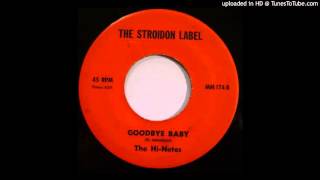 THE HI-NOTES - Goodbye Baby 45 MD DC Garage Psych Unknown