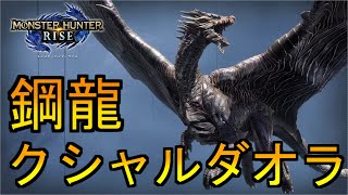 クシャルダオラ初見プレイ【MHRise】