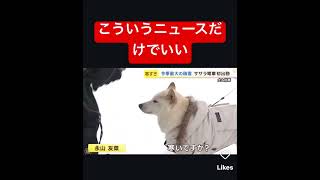 こういうニュースだけでいい 犬 アナウンサー インタビュー