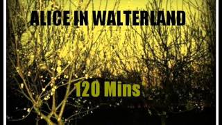 Alice In Walterland - 120 Mins (Teenage Fanclub Cover)