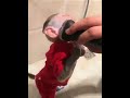 Monky Comedy Leteast Full Comedy Funny Monkey Videos YouTube 360p
