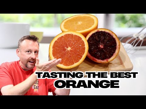 Orange showdown! 🍊 Cara Cara vs. Blood vs. Navel. Which one wins?