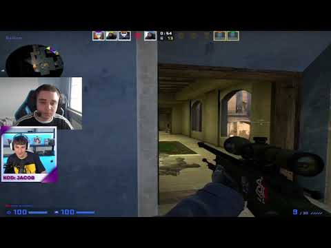 Świnia sąsiadki | Jacob