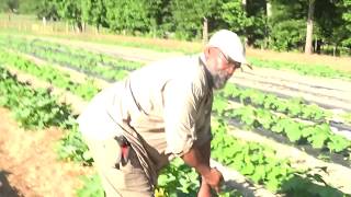 Hebrew Israelites - Feed Yourselves! (Lesson #1)