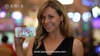 How To Make Money Online with Your Own Online Casino Business