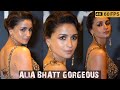 Alia Bhatt Hot Vertical Alia Bhatt Gorgeous In Black Saree At Sabyasachi Alia Aliabhatt