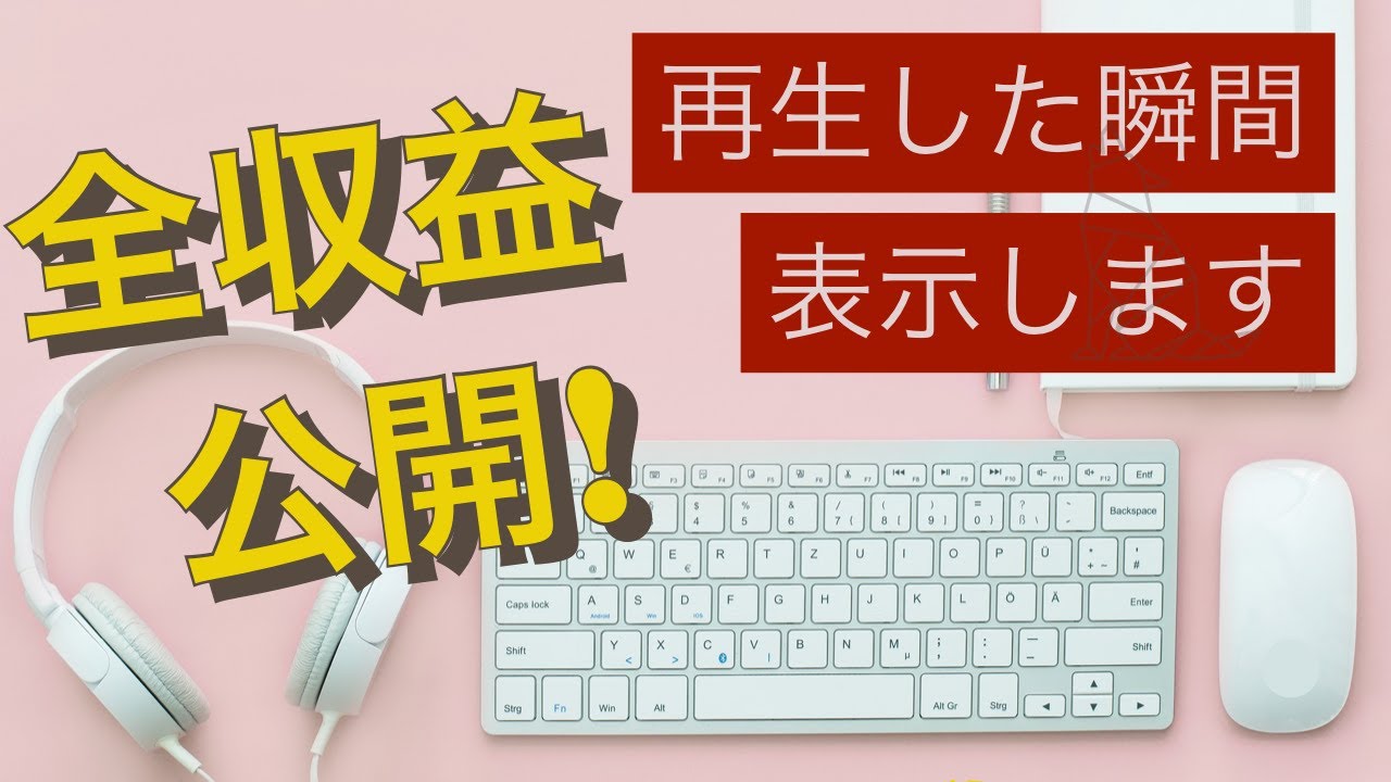 【全額寄付】収益は219,111円でした