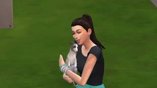 SIMS 4: Fluffy Friends Pet Clinic - Day 3