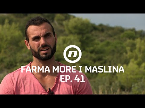 Taktika šutnje - Epizoda 41 | Farma More i Maslina