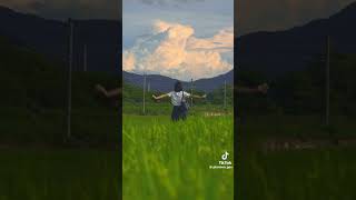 夏も終わりだな、、　#tiktok