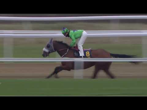 Lopp 4, 5 januari 2020 - Bro Park