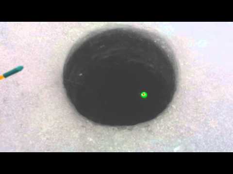 Поклевка,подлещик,Святое озеро