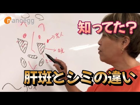 経済システム学科 【知ってた？】肝斑とシミの違い【化粧品研究者山口葉子が教える豆知識】