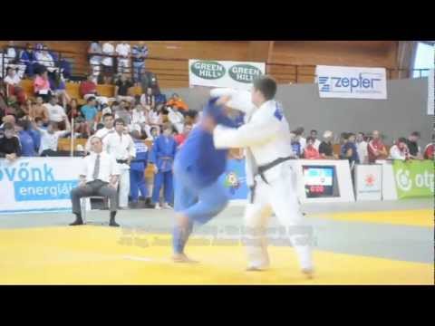 Judo 2011 Paks -73kg B- Schener H (GER) -- W- Majdov S (BIH) Junior Atom Cup (IPPON)