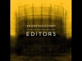 Editors - The Picture 