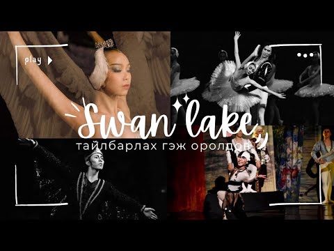 (Swan Lake) Хунт нуурыг тайлбарлах гэж оролдсон нь🤭😅