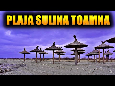 AM VIZITAT PLAJA SULINA SI AM GASIT MEDUZE