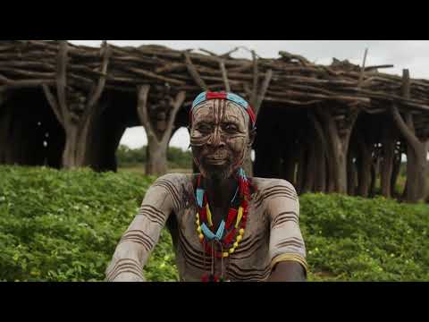 Ayahuasca and Mental Health – Influence of DMT in healing Depression, Anxiety, and Trauma