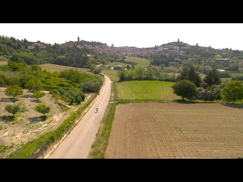 Comune di San Salvatore Monferrato - La terra dei 190 Tramonti