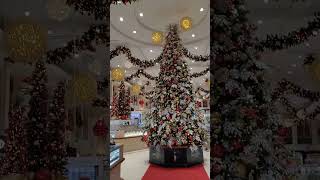 Елка на Багамах порт Нассау #bahamas #nassau #umarkeyn #cruise #cruisetour #travel 