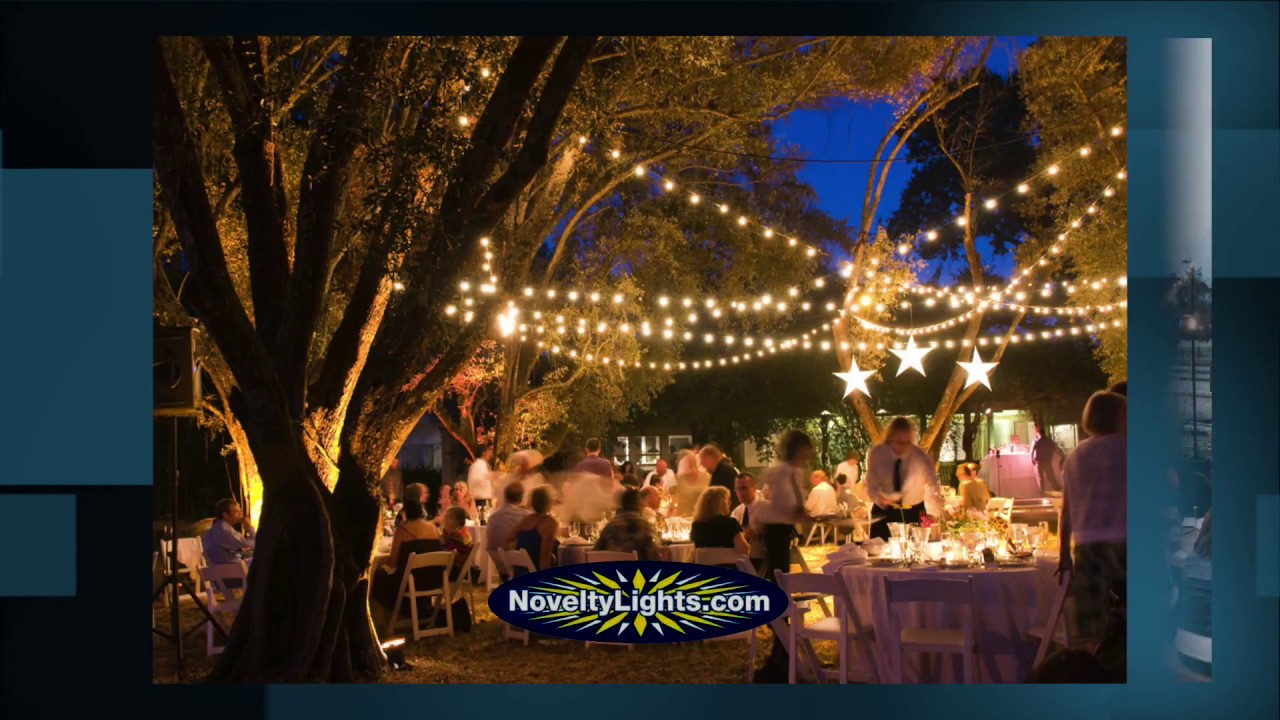 100 G50 Globe Light String Set with Black Light Bulbs (Very Dark Purple) on Black Wire