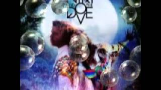 Niki &amp; The Dove - In our eyes 2012