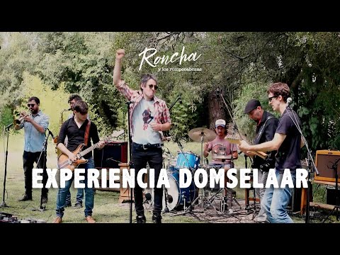RONCHA Y LOS ROMPECABEZAS - EXPERIENCIA DOMSELAAR