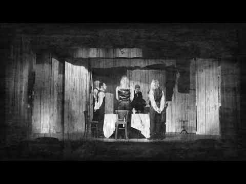 A Forest of Stars - Raven´s Eye View (Louis Le Prince Edit) [Official Music Video]