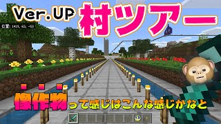 マイクラ 【バージョンアップした村ツアー】 29回目