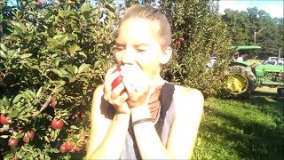 Best Apples with a spit shine! Oct 10-13 2013