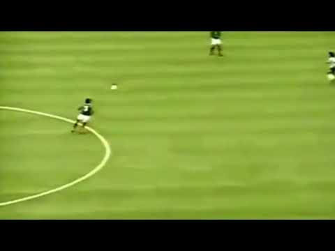 Highlights Argentina 2 - 1 México | Copa América 1993| 04/07/1993