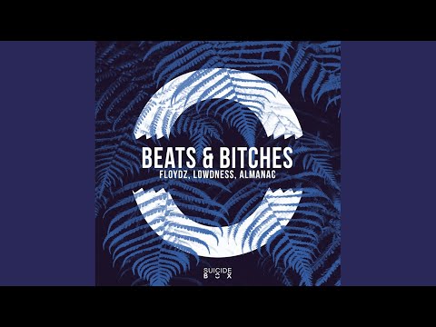Beats & Bitches (Original Mix)