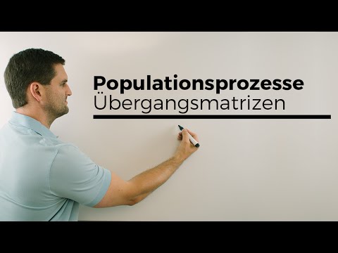 Populationsprozesse, Populationsmatrix, Übergangsmatrizen, Matrix | Mathe by Daniel Jung
