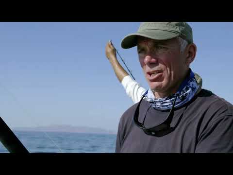 Monstros do Rio - Diabo das Profundezas