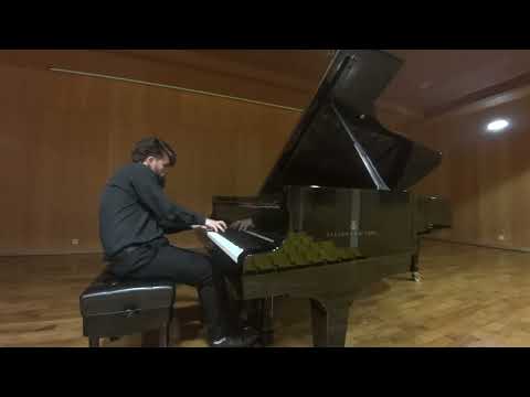 Sonata op.2 (2nd movement) Piano Video