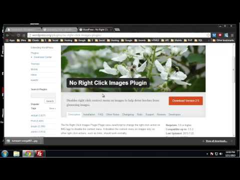 Learn Complete Wordpress Security Chapter 18 Protecting Images