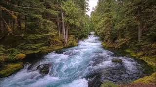 Download lagu LAGU POP SUNDA LAWAS TERPOPULER - RIKA PUJIYANTI - TEGA mp3