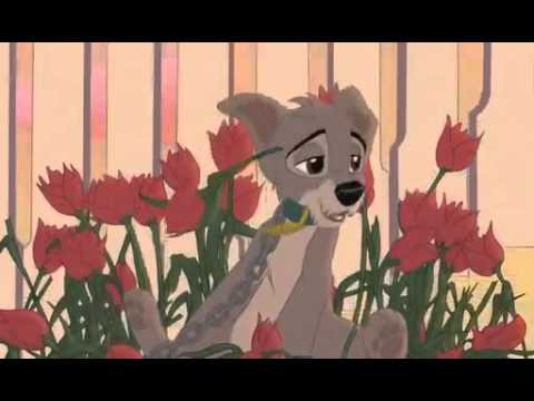 Lady and the Tramp II Scamps Adventure - A World Without Fences - [HD]