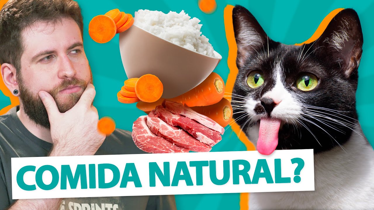 TUDO SOBRE ALIMENTAÇÃO NATURAL PARA GATOS