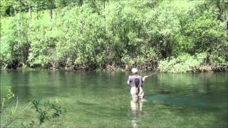 Fast Eddie at Ribnik, 2012