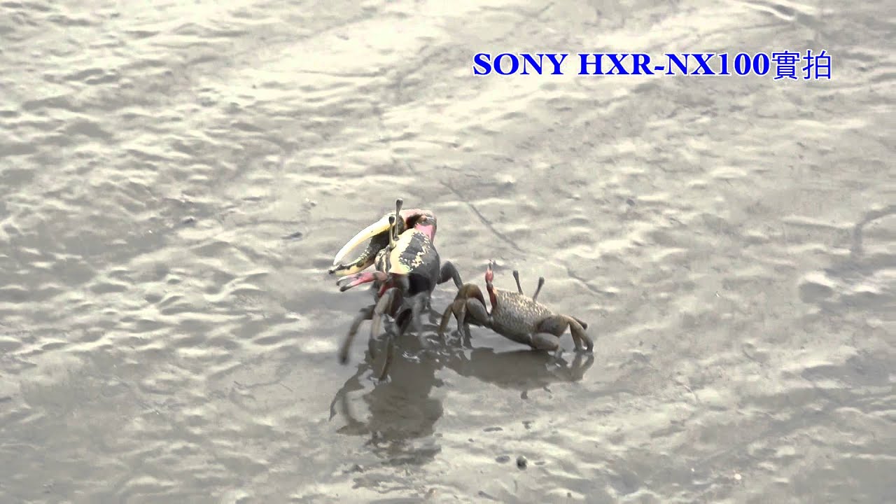 SONY HXR-NX100 TEST VIDEO