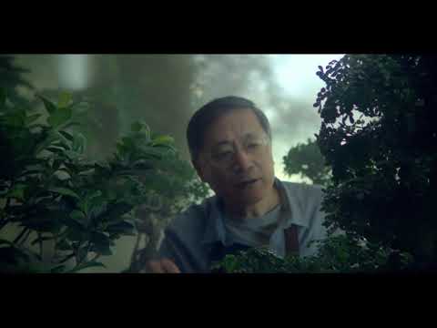 Publicité IZI by EDF (version longue)